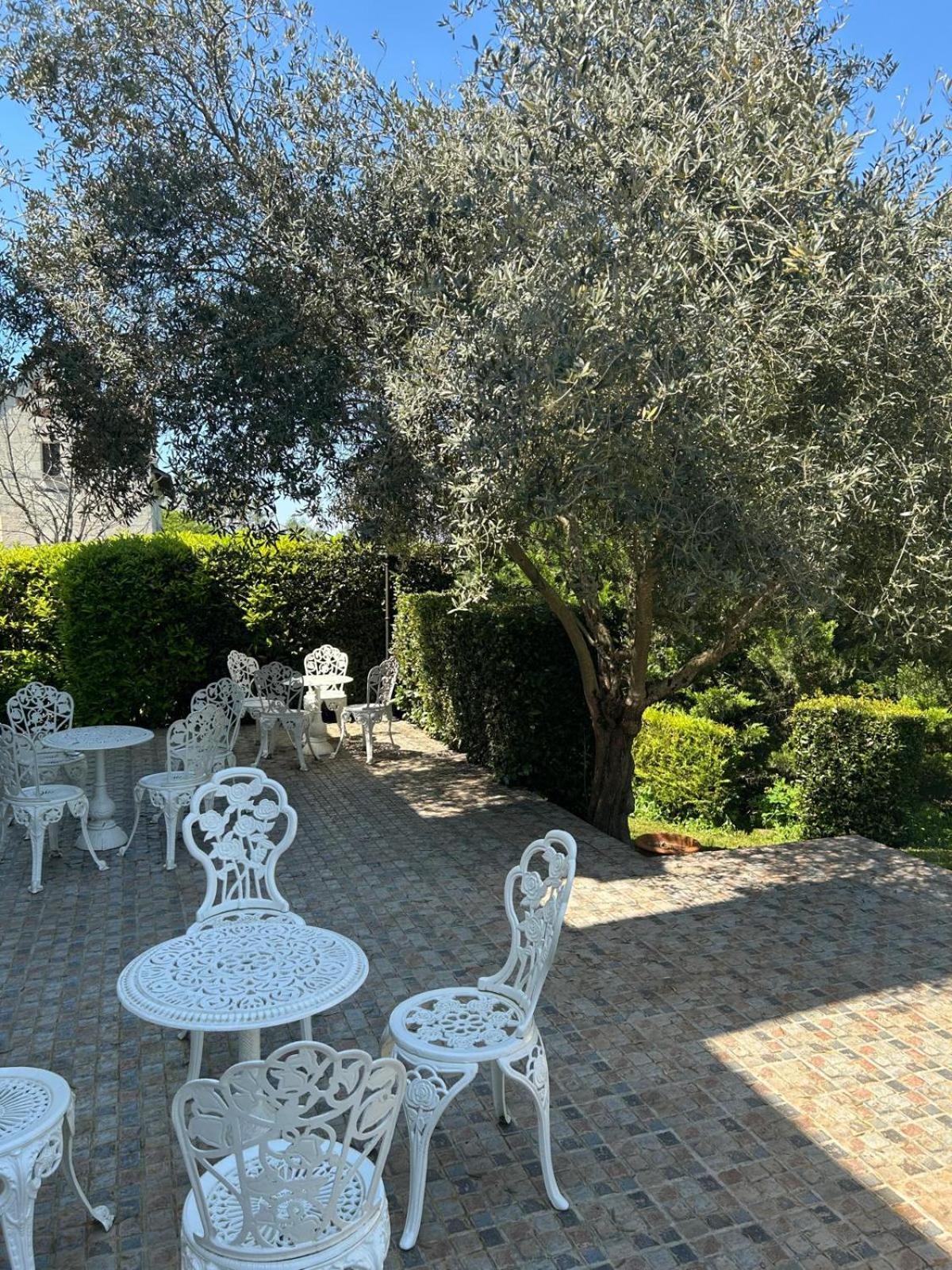 Logis Demeure De La Vignole Hotel Turquant ภายนอก รูปภาพ
